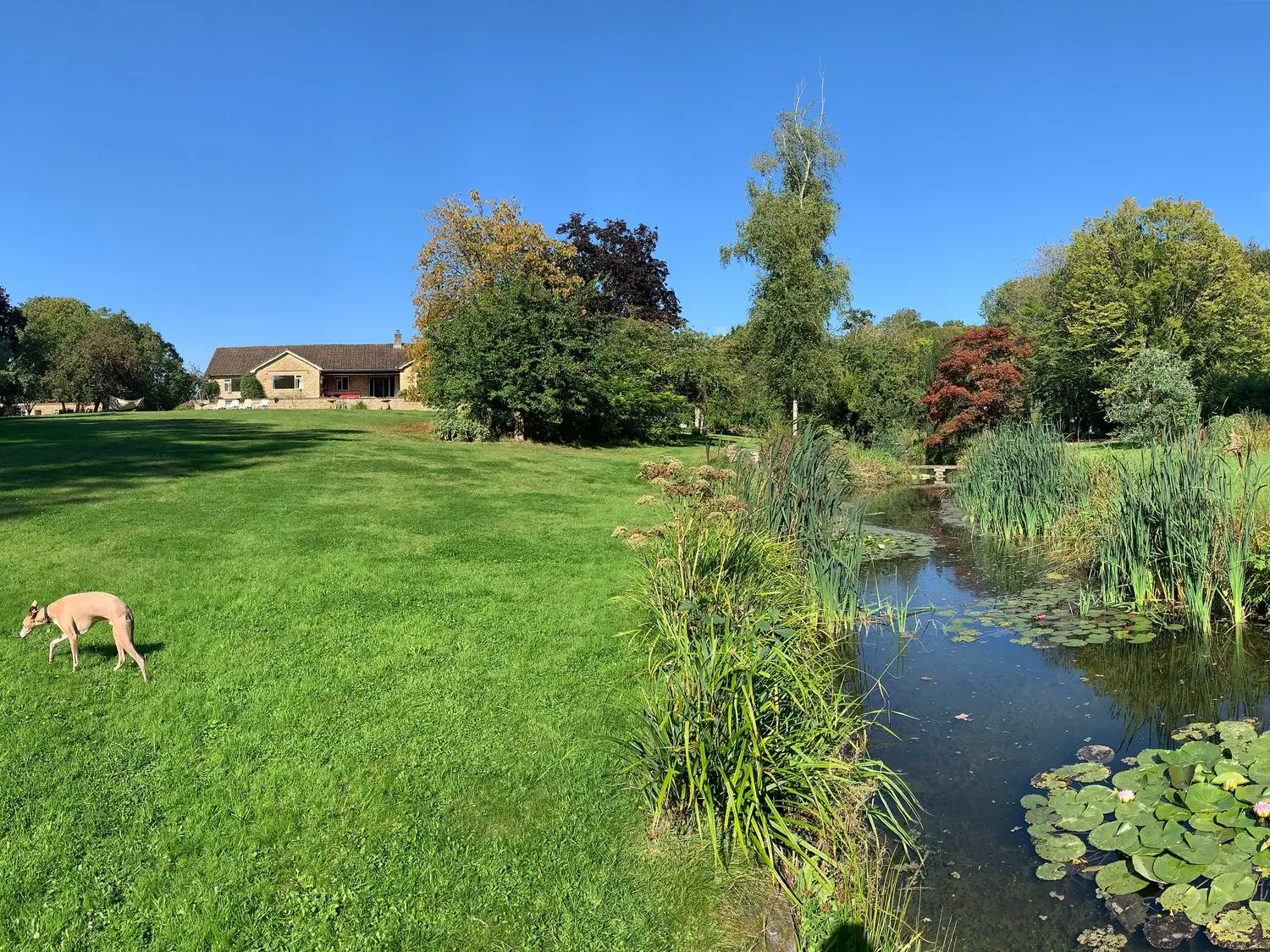 Family holiday home rental Langport